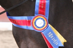 championribbon